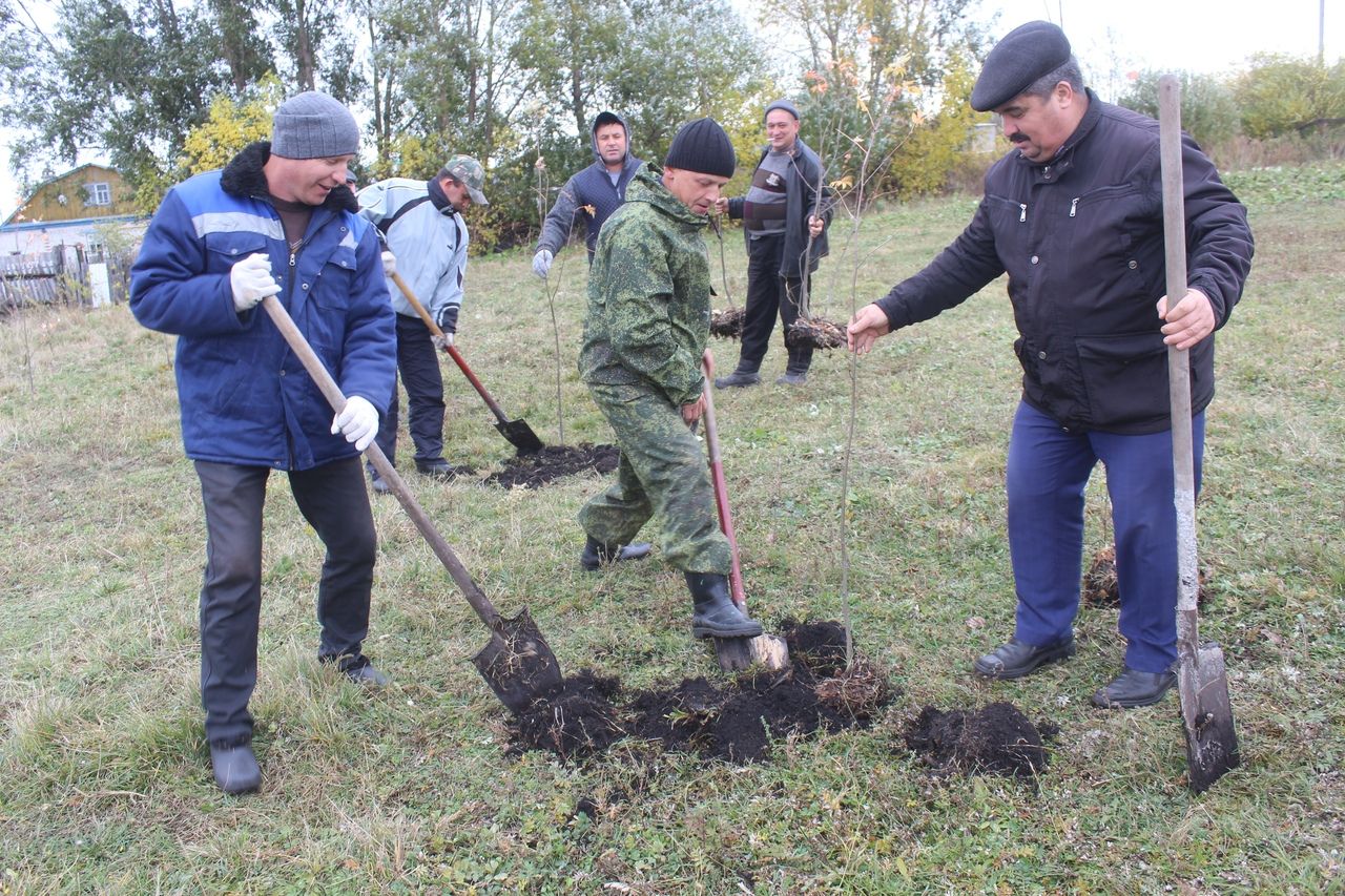 Дрожжановцы присоединились к акции "День посадки леса".