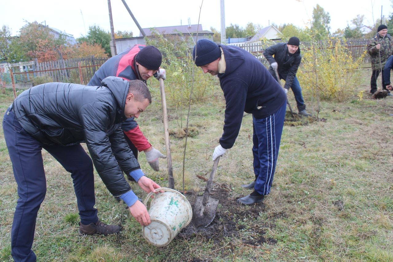 Дрожжановцы присоединились к акции "День посадки леса".