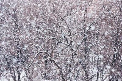 В Республике Татарстан ожидаются снег, метель