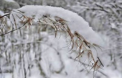 В Татарстане ожидается мокрый снег и дождь