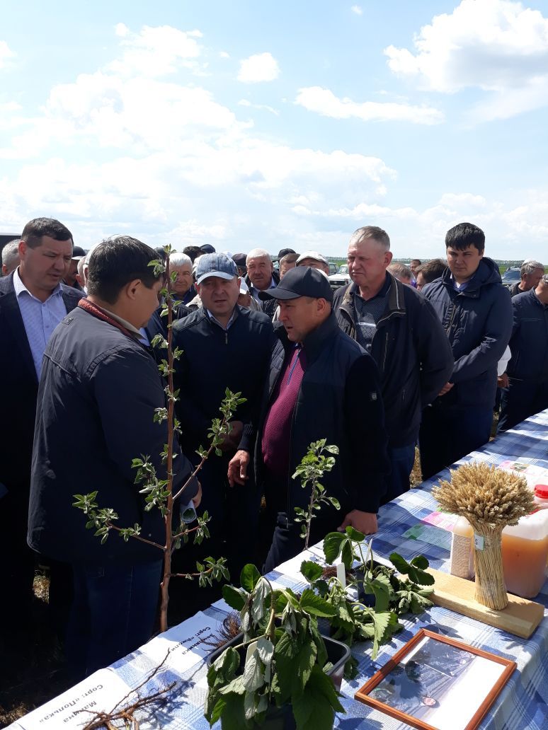 Министр сельского хозяйства РТ совершил облет полей Дрожжановского района