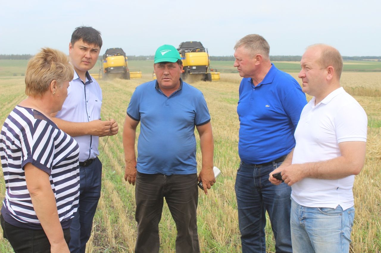 В Дрожжановском районе приступили к уборке урожая