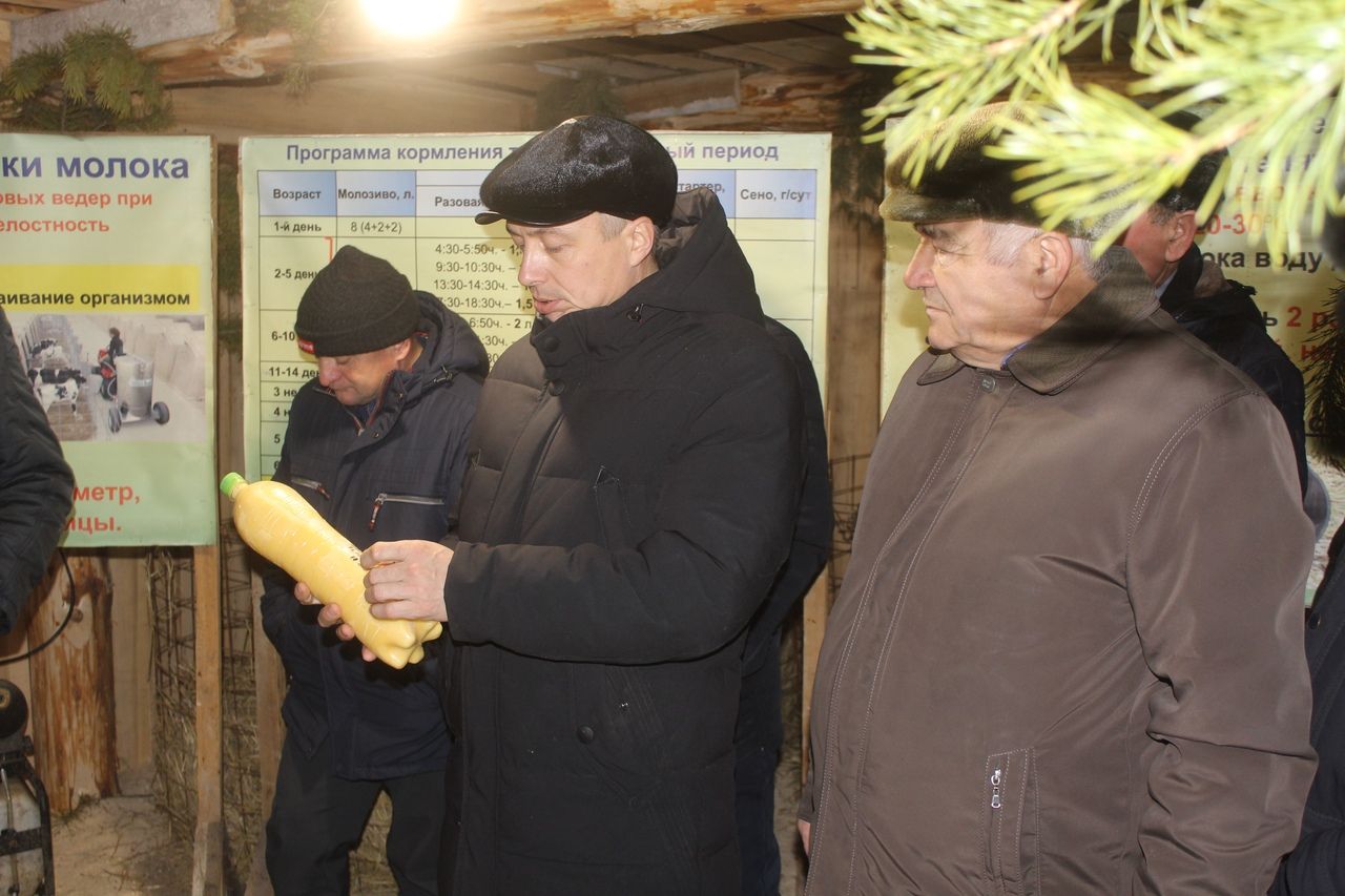 Главой Дрожжановского района поставлена задача увеличить производство молока в  2020 году