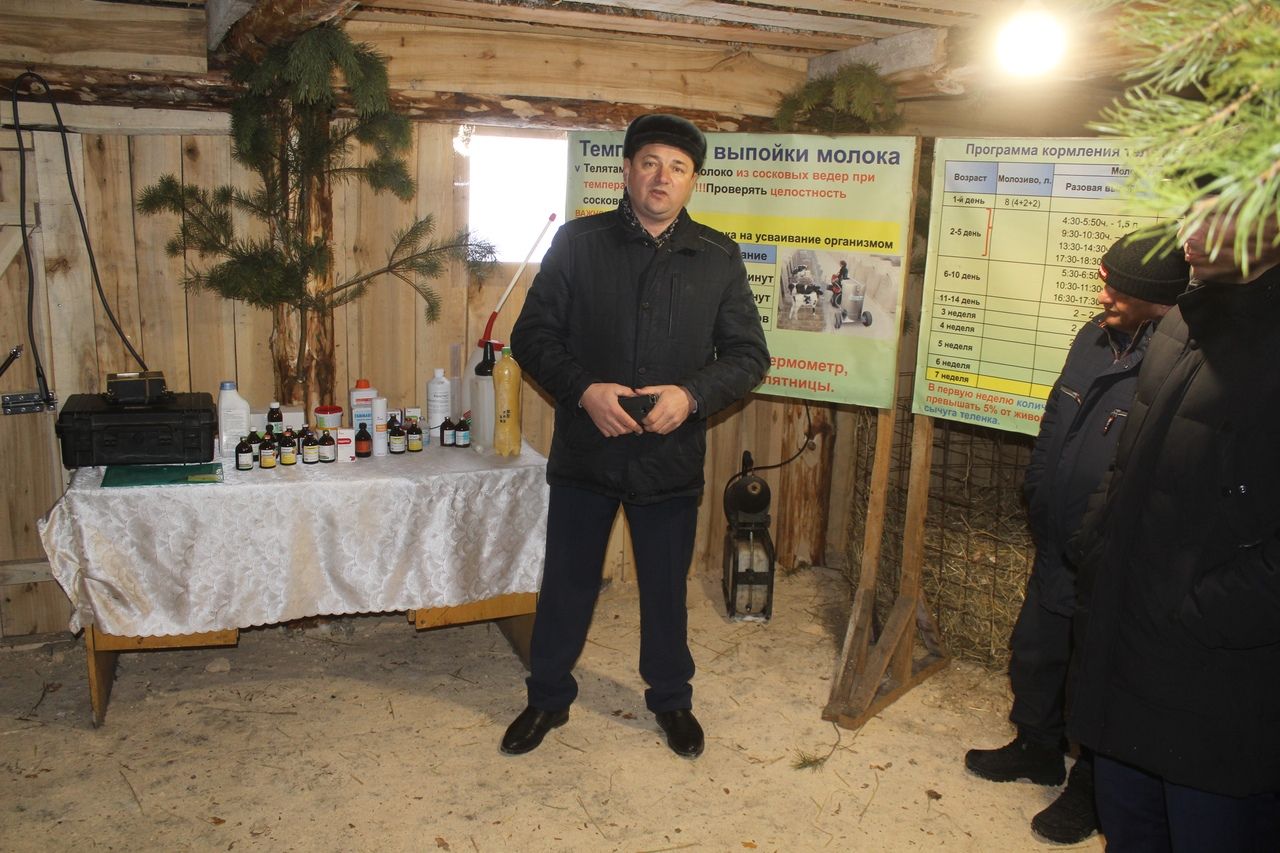 Главой Дрожжановского района поставлена задача увеличить производство молока в  2020 году