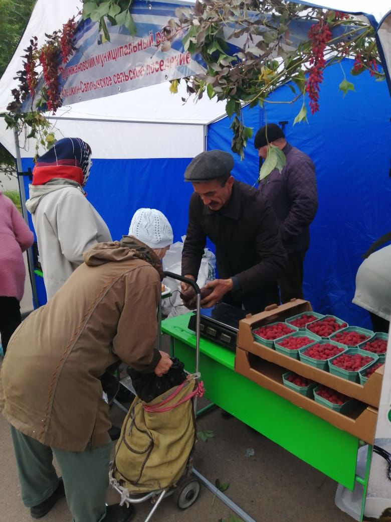 Дрожжановцы участвуют в сельхозярмарке в Казани