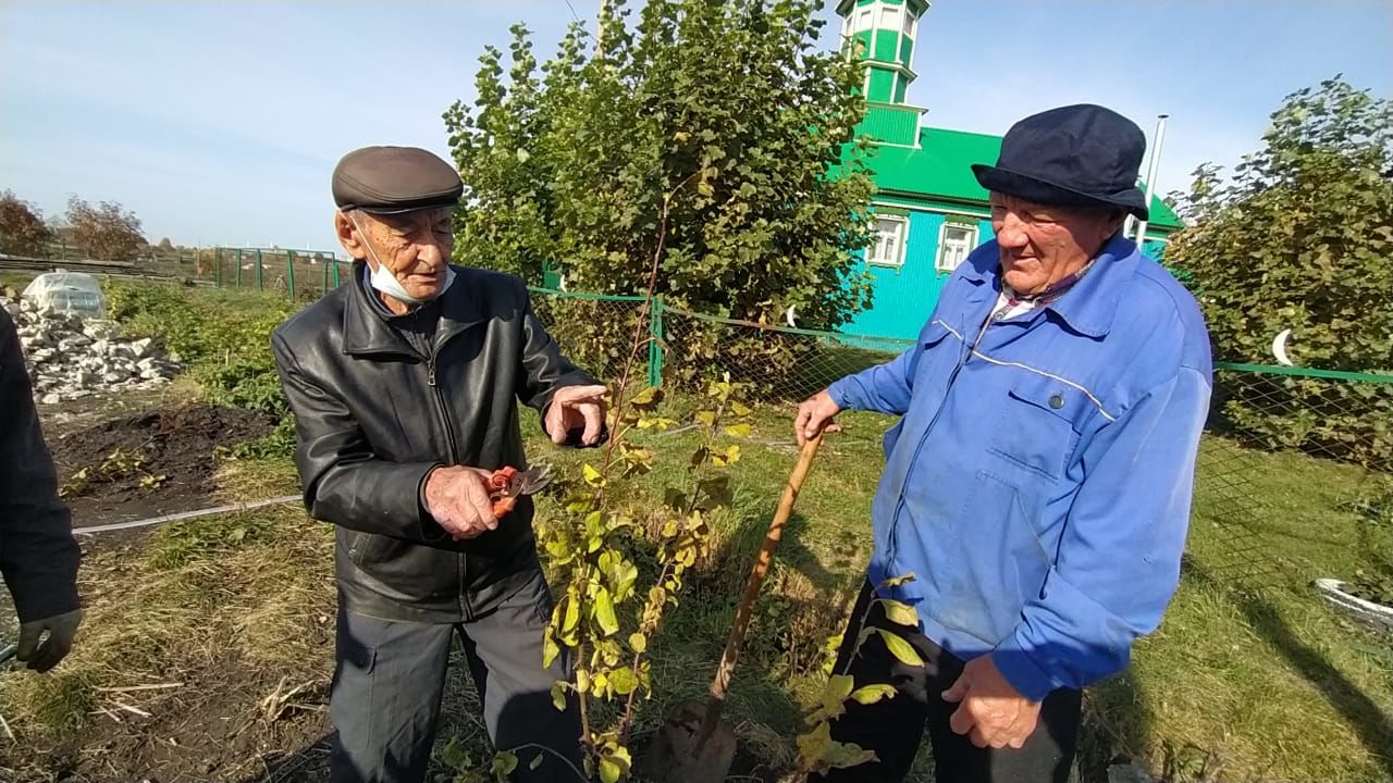 Возле мечети села Новое Дрожжаное заложили яблонево-грушевый сад