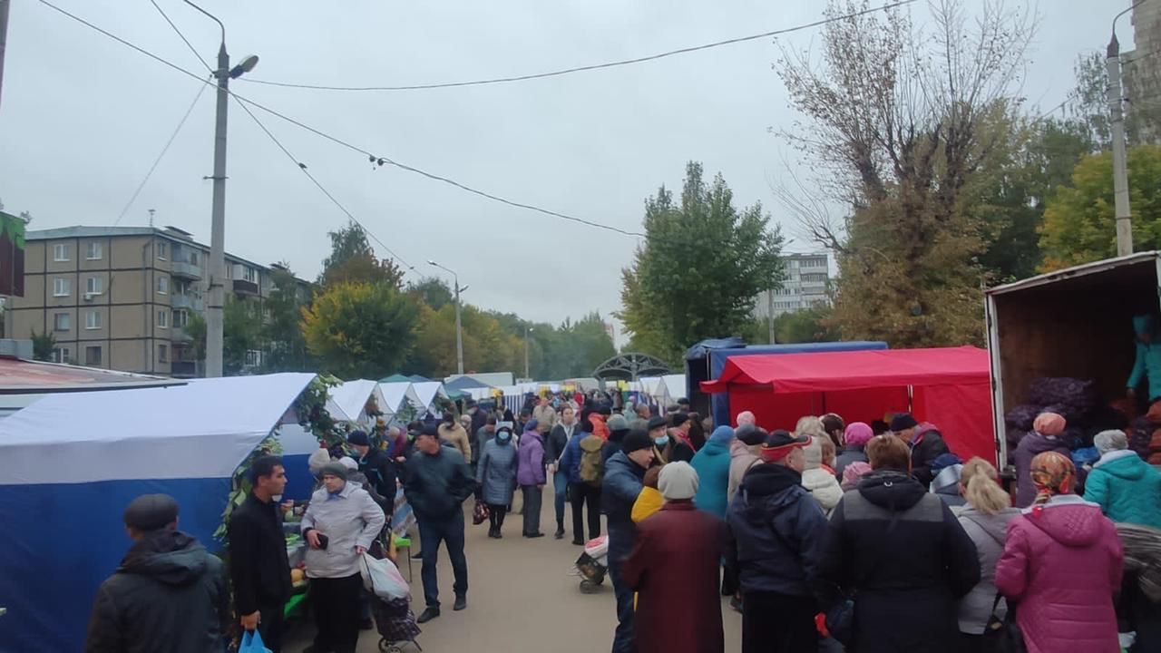 Дрожжановцы принимают участие на сельхозярмарке в Казани