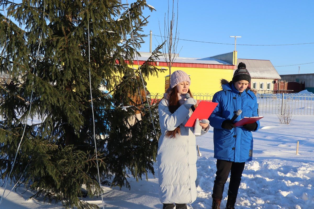 В период новогодних каникул в парках Дрожжановского района проходят культурные мероприятия