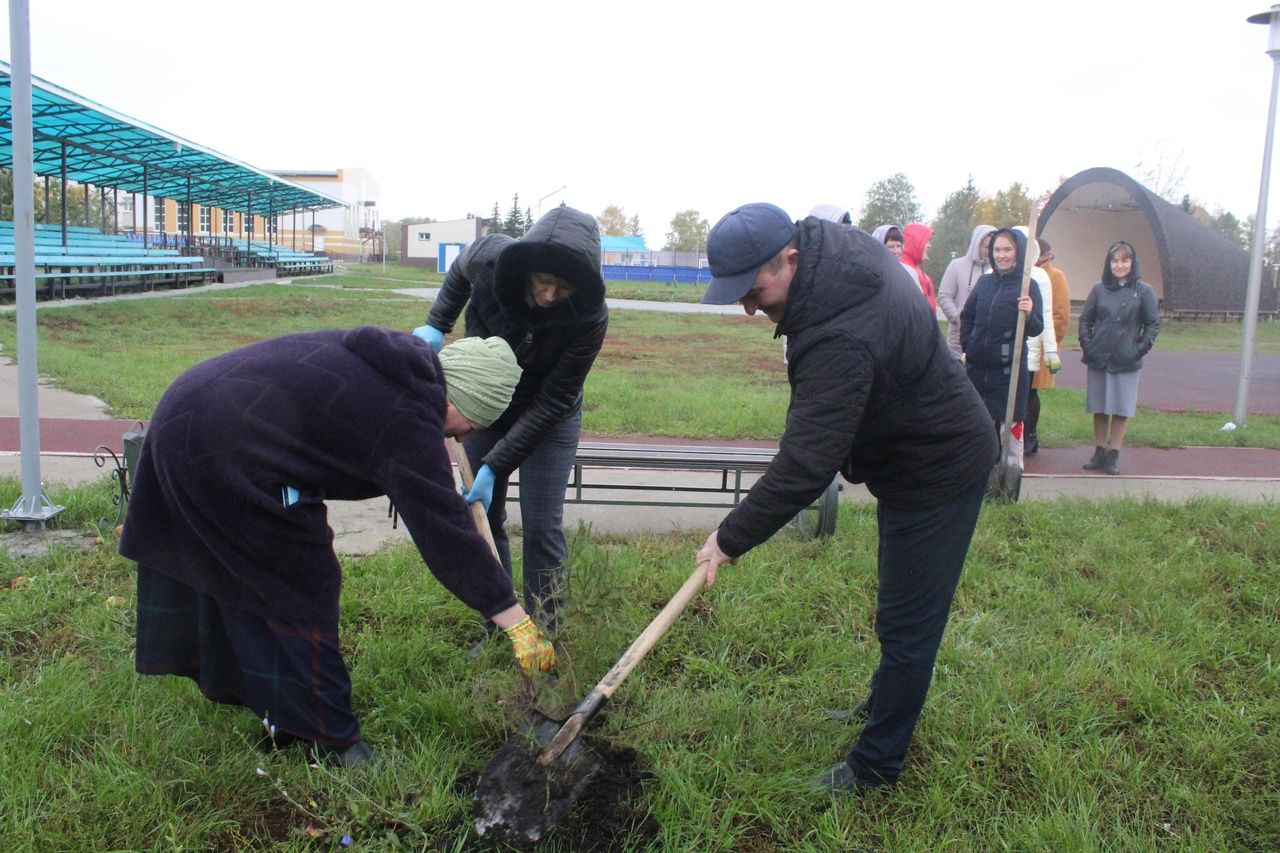 В парках и на территории родника  Дрожжановского района посадили молодые деревья