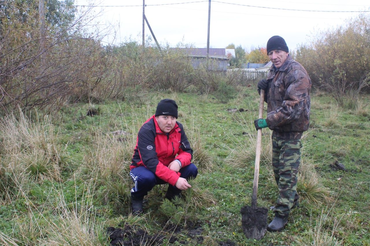 В парках и на территории родника  Дрожжановского района посадили молодые деревья