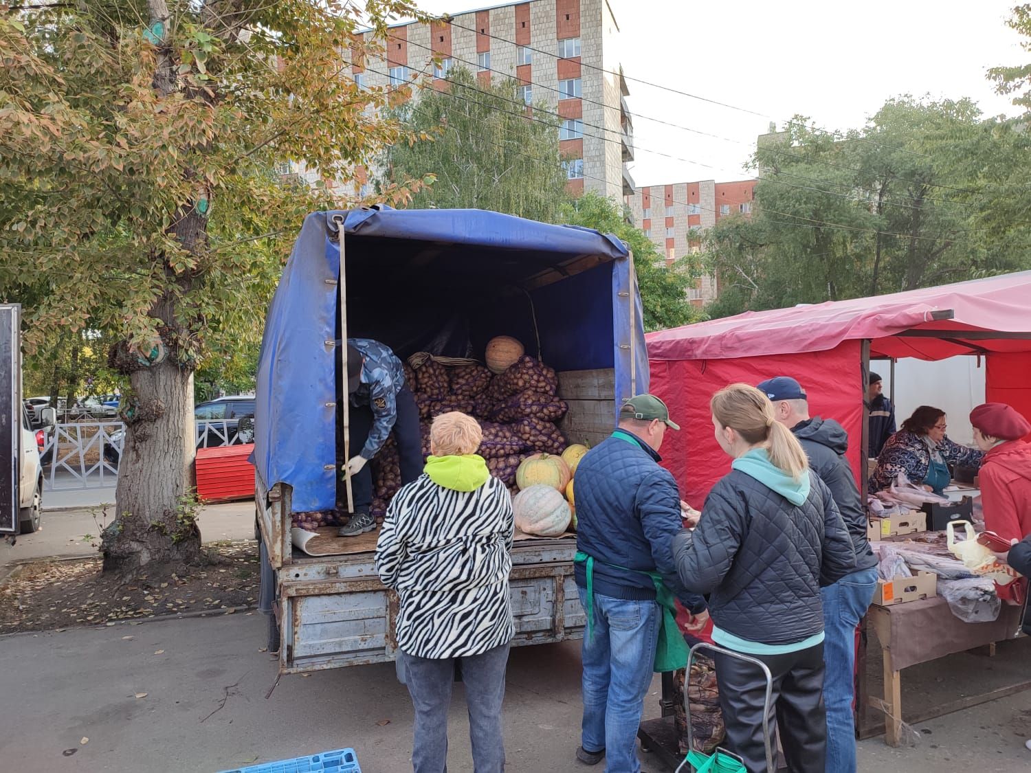 Сельскохозяйственная ярмарка в Казани началась: дрожжановцы принимают активное участие