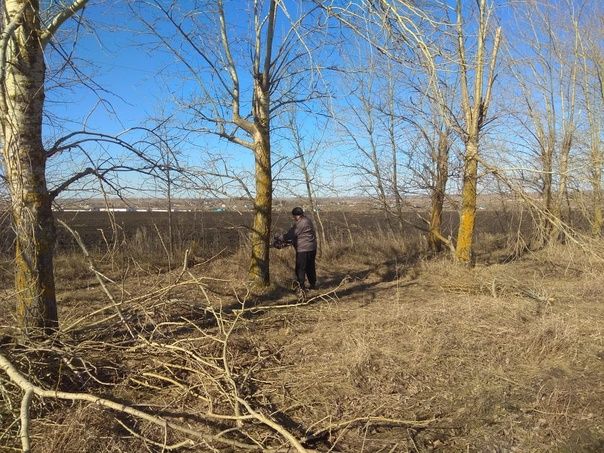 Новокакерлинцы Дрожжановского района вышли на очистку посадки