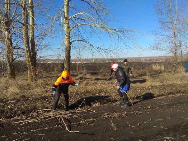 Новокакерлинцы Дрожжановского района вышли на очистку посадки