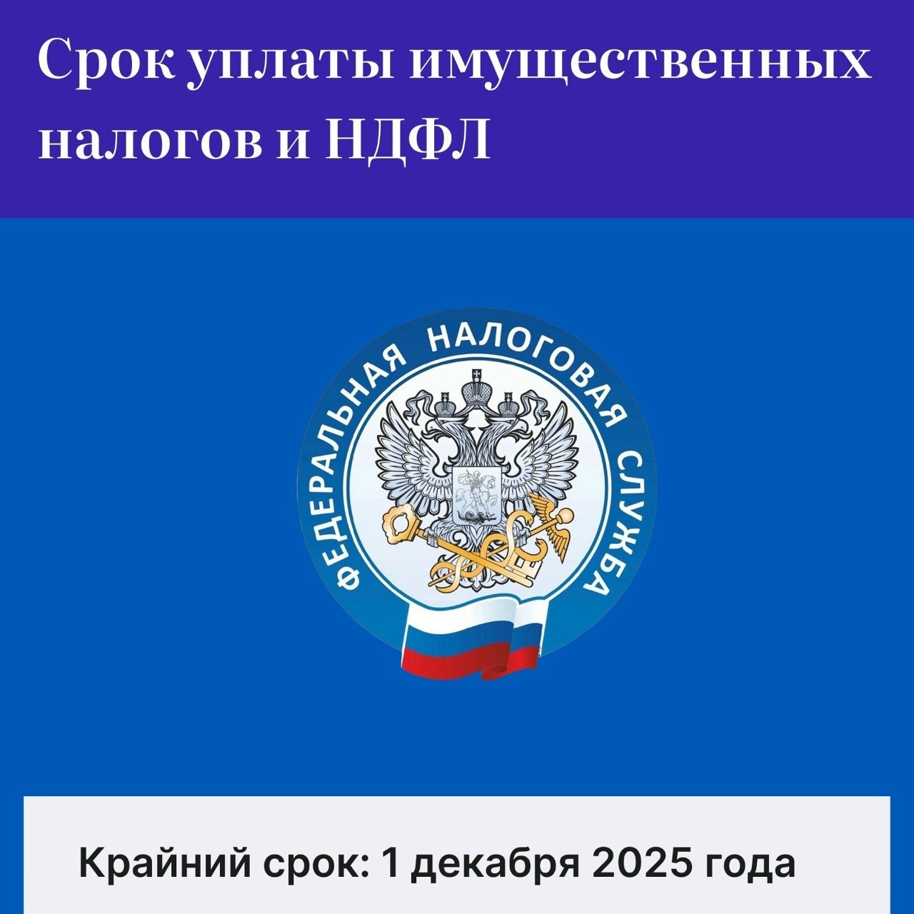 Время платить налоги: что нужно знать к 1 декабря