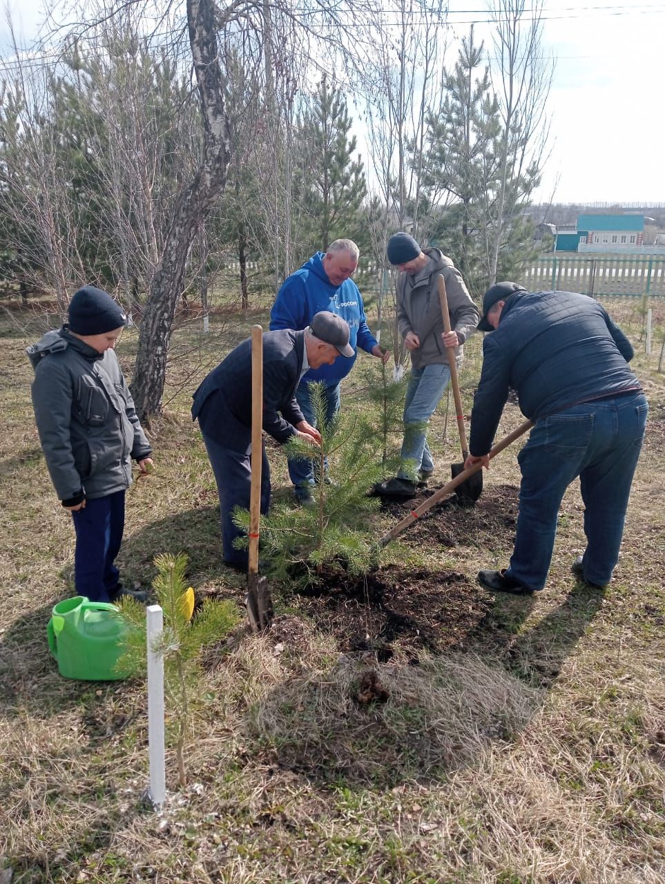 К 80-летию Победы в Новокакерлинской школе посадили 80 деревьев