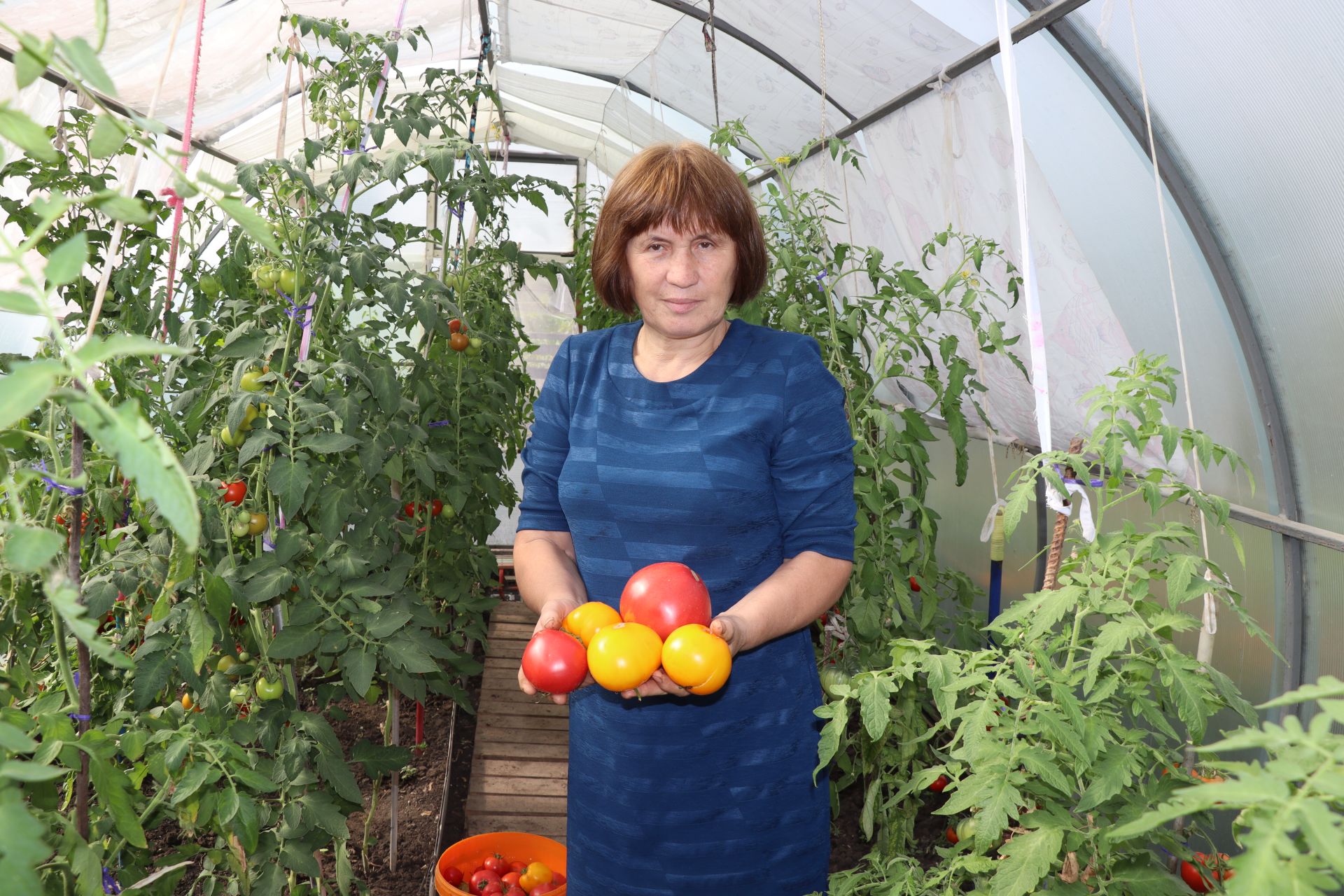 Егоровлар Ульяновск шәһәреннән кайтып, Чүпрәледә гөлбакча үстерә
