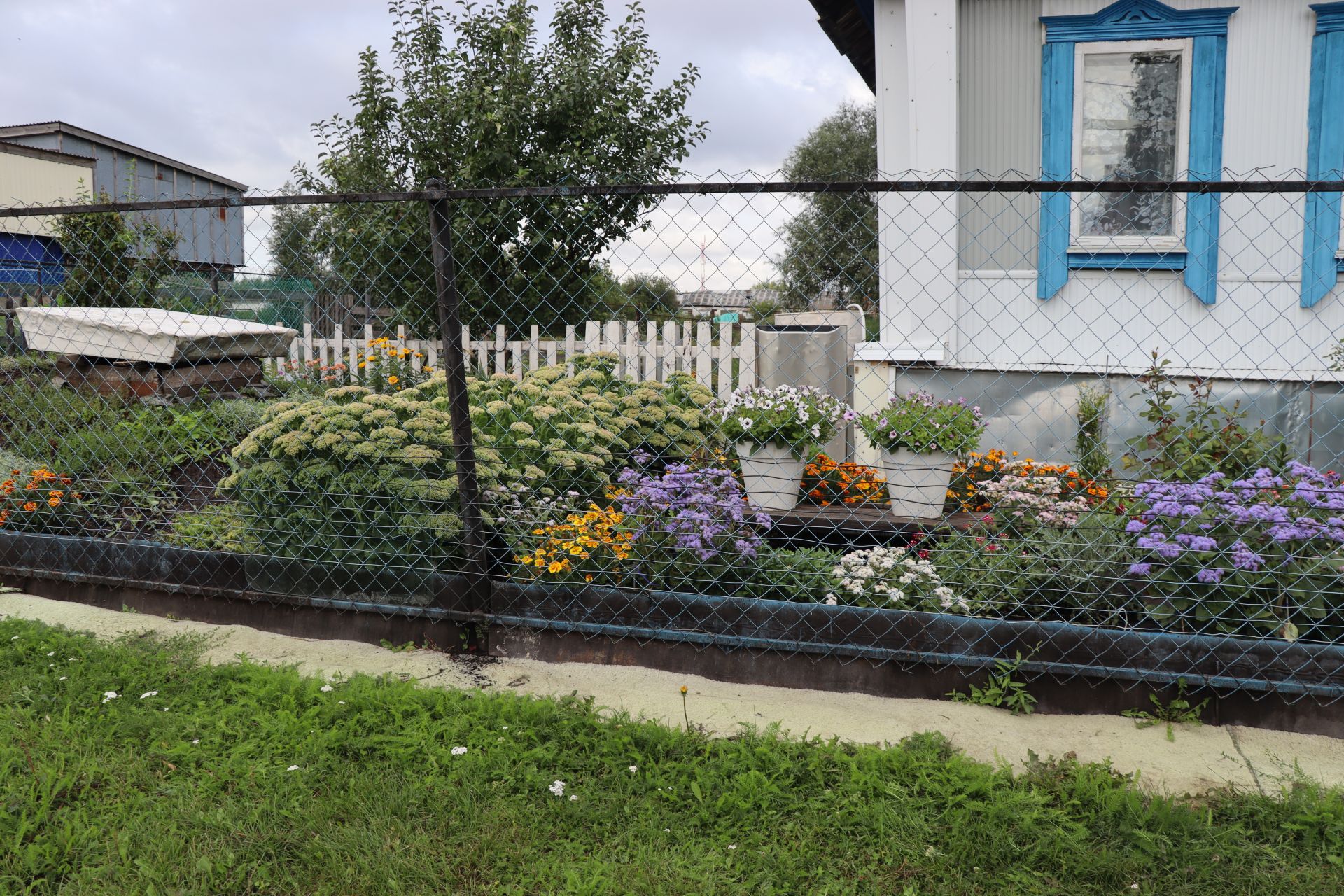 Супруги Егоровы из Дрожжановского района РТ превратили родительский дом в цветущий сад