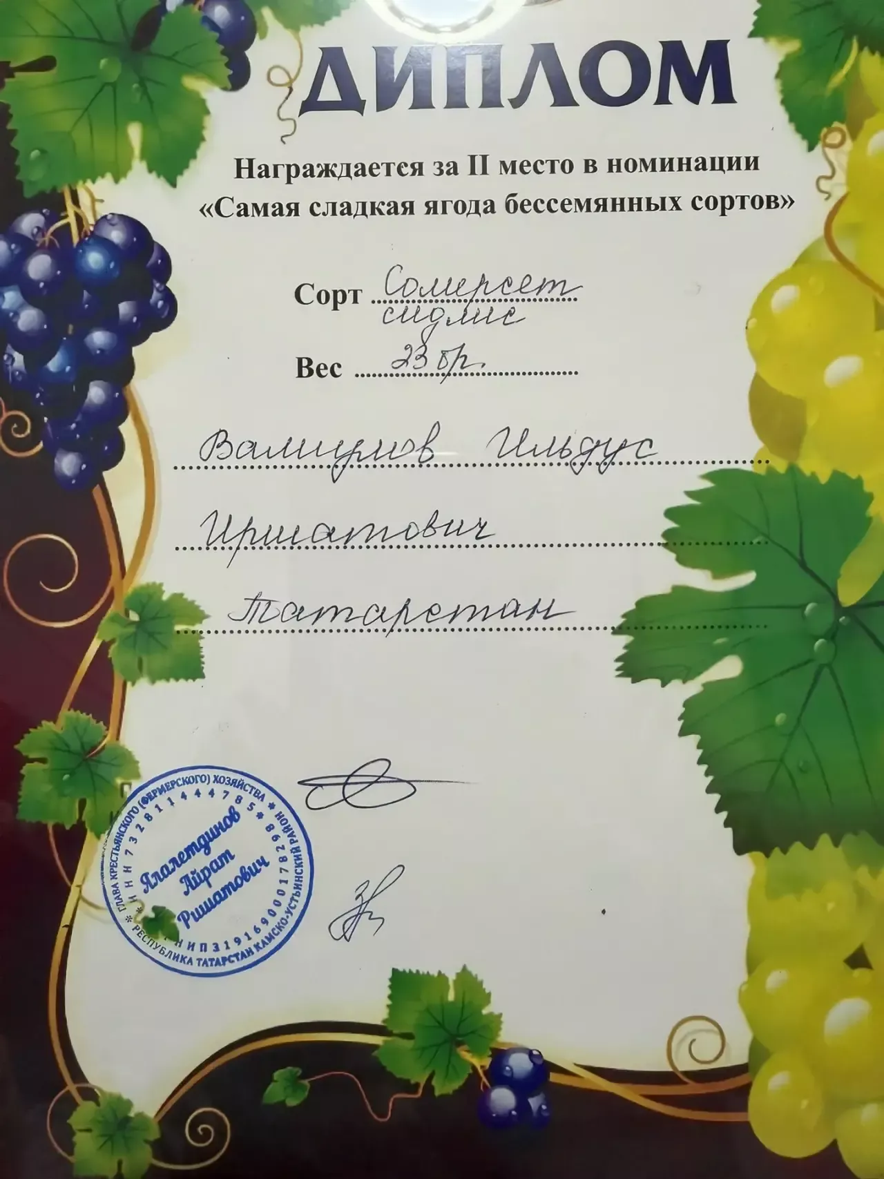 Дрожжановский виноградник стал победителем региональной выставки