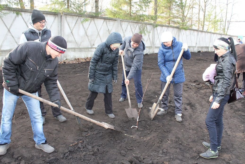 День посадки леса в рамках подготовки к 75-летию Победы в Великой Отечественной войне