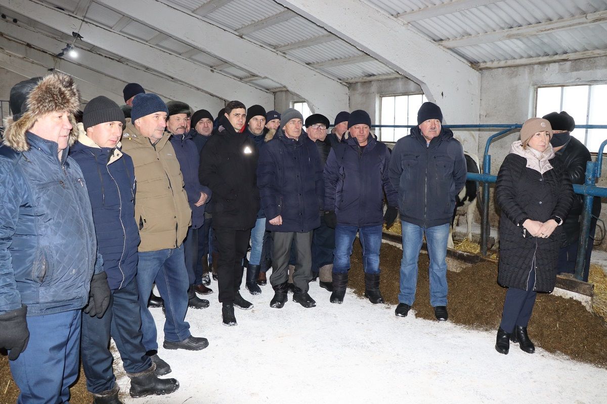 Итоги отрасли животноводства за 2021 год в Дрожжановском районе