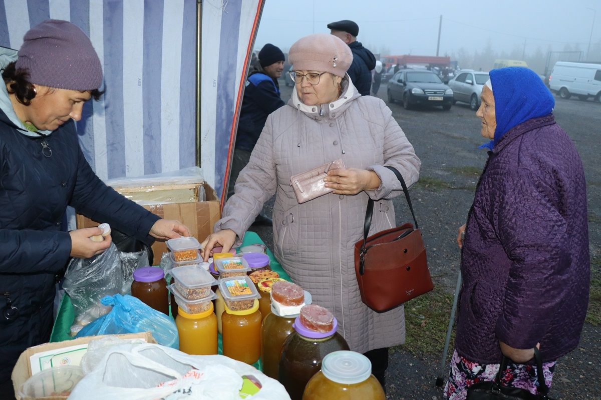 Ярмарка, посвященная Дню пожилых людей в Дрожжаном -2022