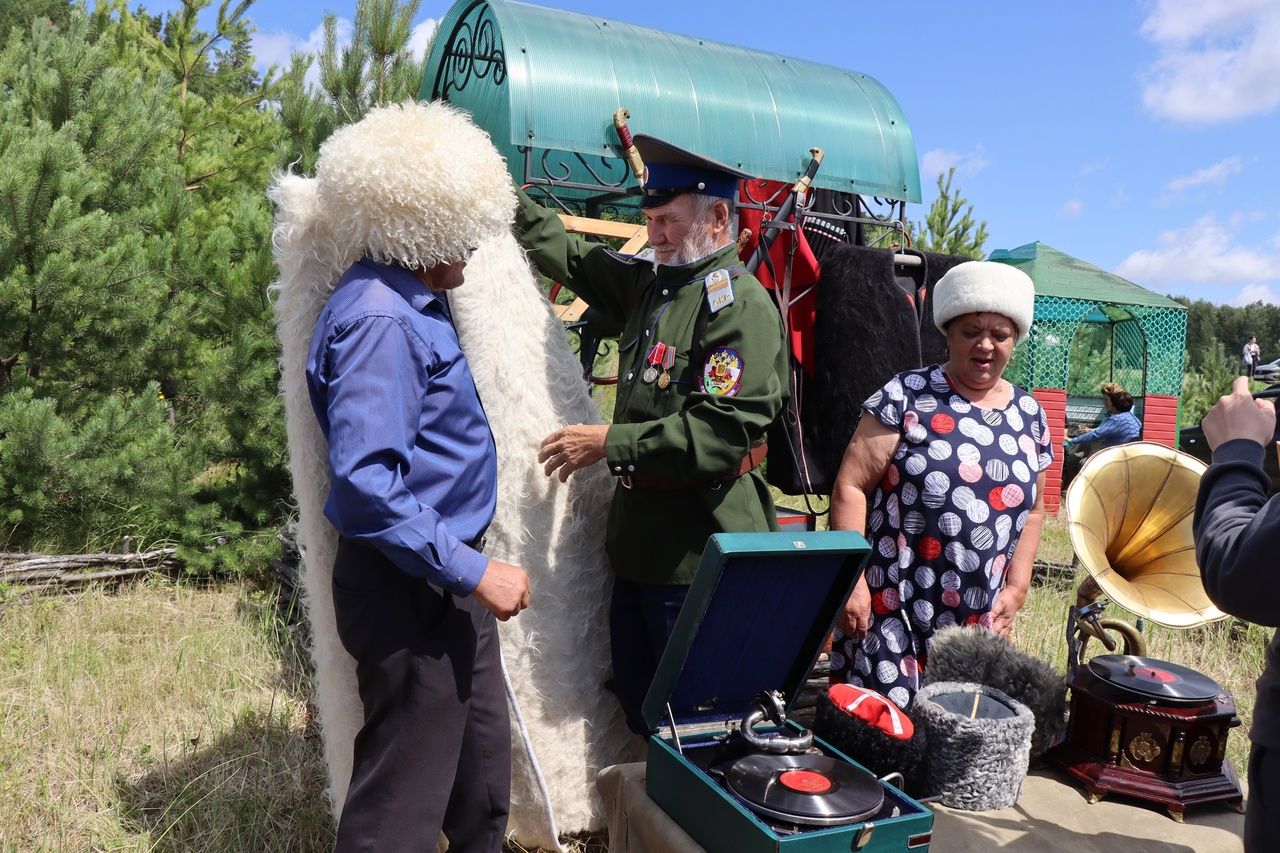 В селе Нижнее Чекурское Дрожжановского района праздновали "День родного края"