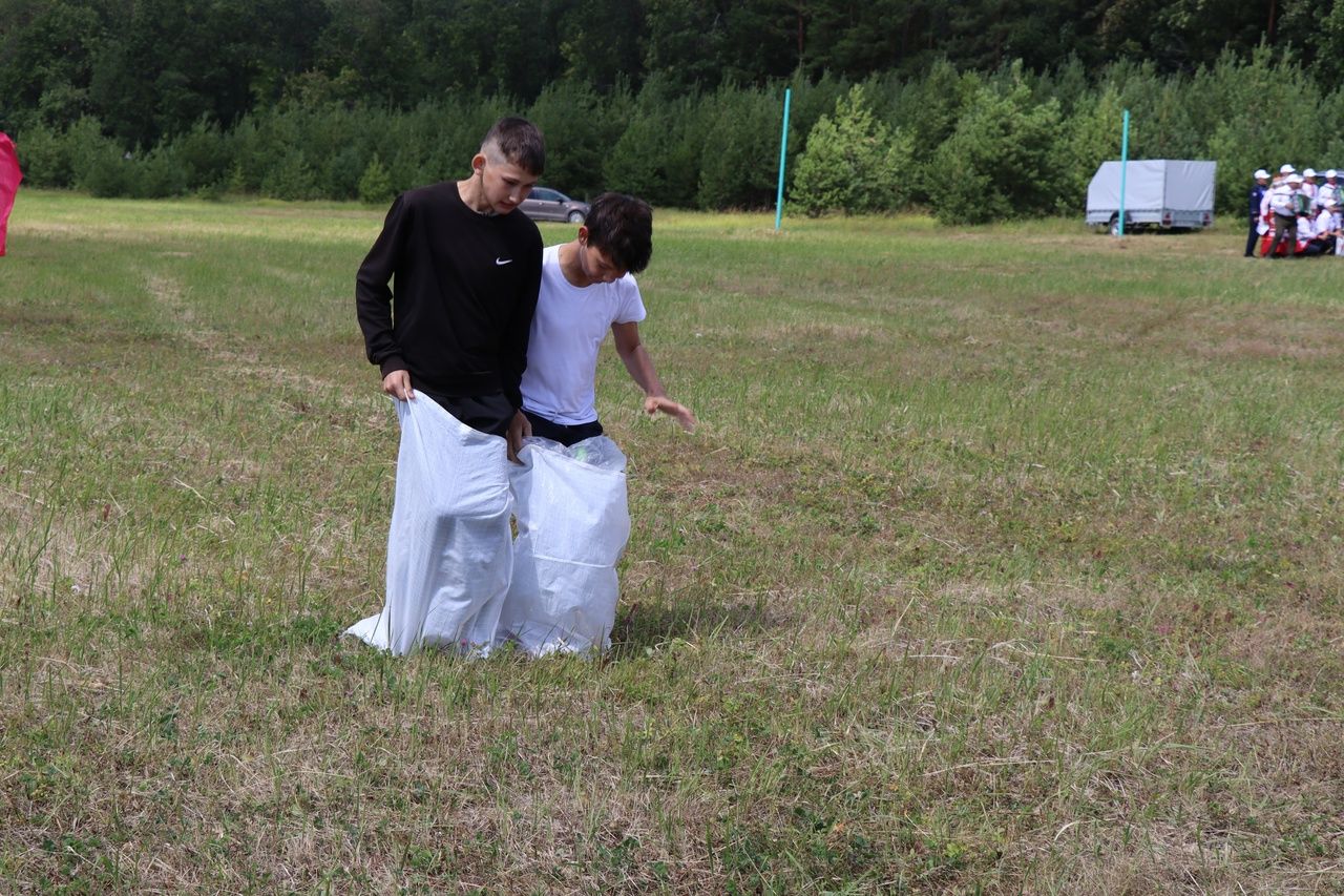 В селе Нижнее Чекурское Дрожжановского района праздновали "День родного края"