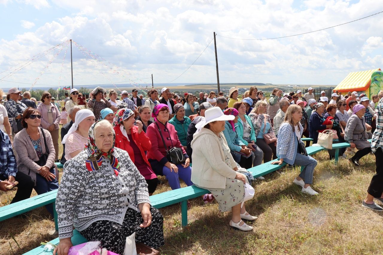 В селе Нижнее Чекурское Дрожжановского района праздновали "День родного края"