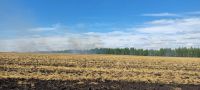 В Дрожжановском районе произошло возгорание стерни