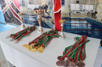 В бассейне «Акчарлак» Дрожжановского района РТ  прошли межрайонные  соревнования по плаванию