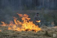 На территории Республики Татарстан ожидается высокая пожарная опасность лесов
