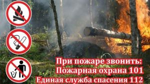 На территории Татарстана сохраняется высокая  и чрезвычайная пожарная опасность лесов