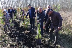 Главы сельских поселений Дрожжановского района посадили туи в рамках акции «Сохраним лес»