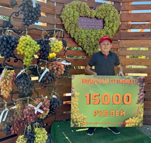 Илдус Валиуллов из Дрожжановского района РТ выиграл сертификат на Дне винограда в Ульяновске