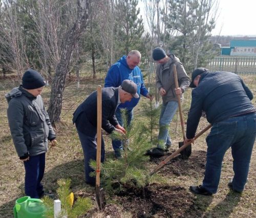 К 80-летию Победы в Новокакерлинской школе посадили 80 деревьев