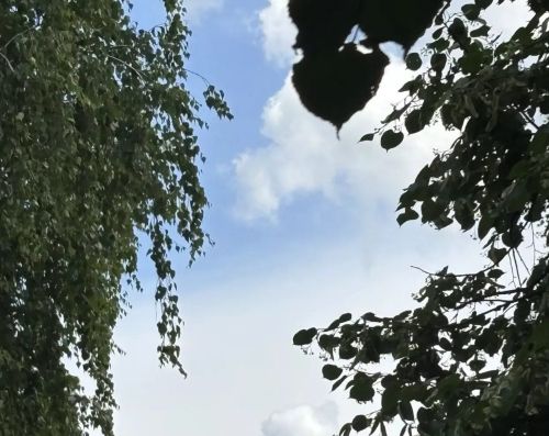 Погода в Дрожжановском районе на 30 июня