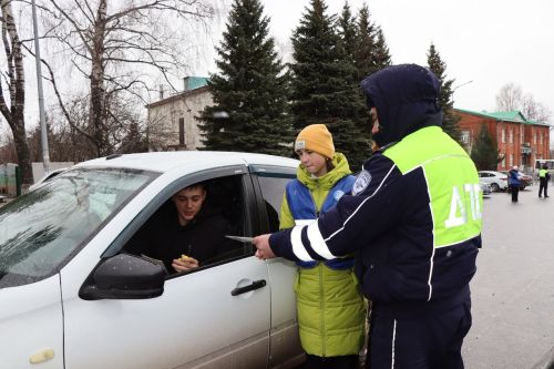 В Дрожжановском районе РТ проходят мероприятия, приуроченные Всемирному дню памяти жертв ДТП