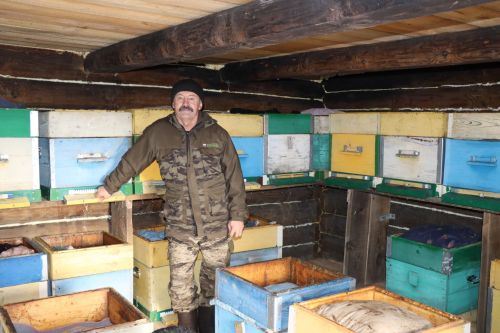 Матак авылында яшәүче Виталий Петрянкин 30 елдан артык бал кортлары асрау белән шөгыльләнә