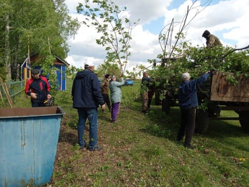 В селе Новое Ильмово Дрожжановского района организовали субботник по очистке кладбища