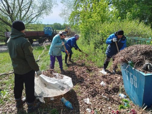В селе Новое Ильмово Дрожжановского района организовали субботник по очистке кладбища