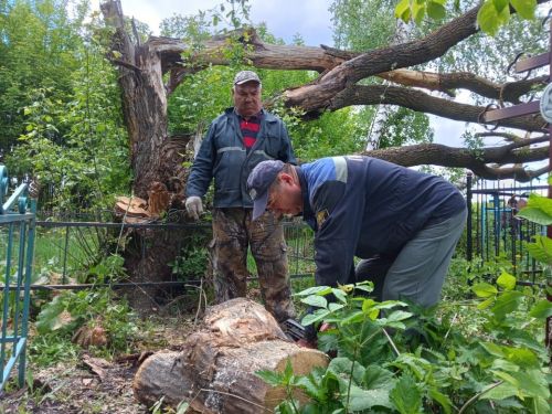 В селе Новое Ильмово Дрожжановского района организовали субботник по очистке кладбища