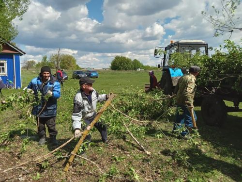 В селе Новое Ильмово Дрожжановского района организовали субботник по очистке кладбища