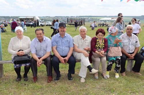 В селе Шланга Дрожжановского района отметили праздник «Майнын унбише»