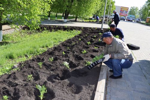 В Дрожжановском районе идет посадка цветов