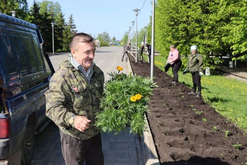 В Дрожжановском районе идет посадка цветов