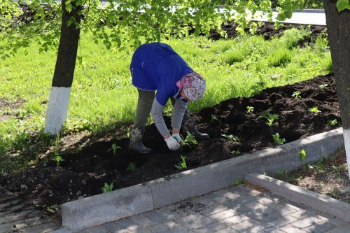 В Дрожжановском районе идет посадка цветов