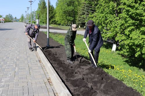 В Дрожжановском районе идет посадка цветов
