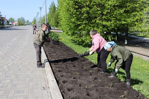 В Дрожжановском районе идет посадка цветов