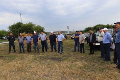 Парад комбайнов состоялся в Дрожжановском районе