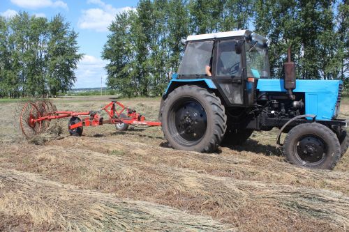 В Дрожжановском районе ООО “Цильна” первым приступил к заготовке сена для скота на зиму